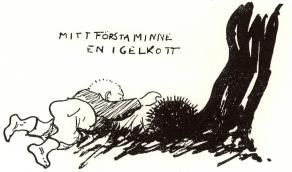 MITT FÖRSTA MINNE. EN IGELKOTT