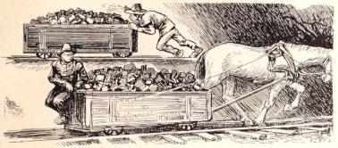 III. Koltransport.