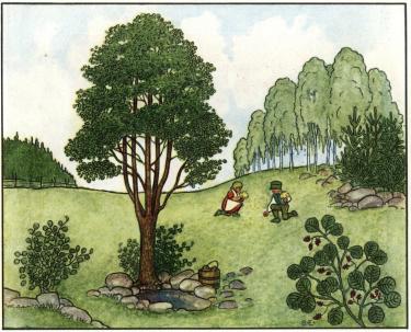 <smalTeckning av Brita Ellström.</smal