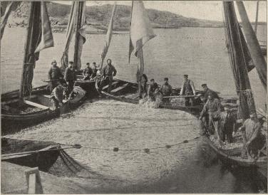 »En duktig fångst». Sillfiske med s. k. landvad.<b<smalFoto Jacobson, Lysekil.</smal