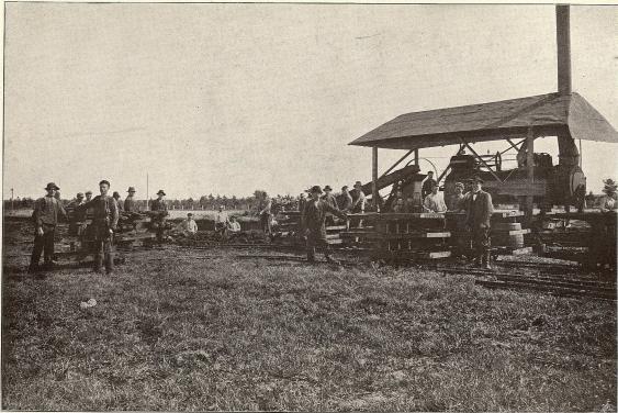 Torffabrikation å Martebo<b<smalFoto Gardsten, Visby.</smal