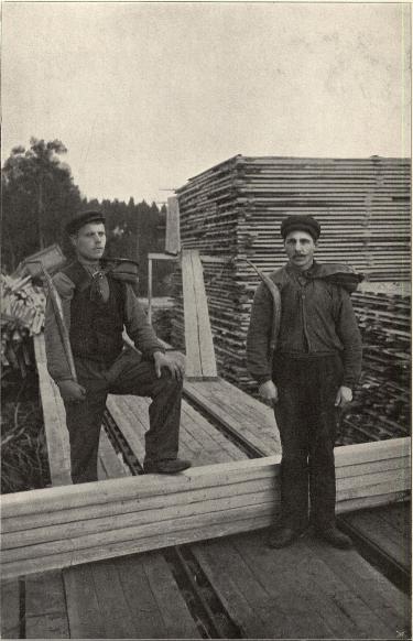 Plankbärare vid Löfudden, Hernösand.<b<smalFoto Holmstedt, Hernösand.</smal
