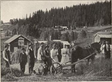 <smalFoto Strömqvist, Hernösand.</smal<bHöbärgning i Alanäset, Jämtland