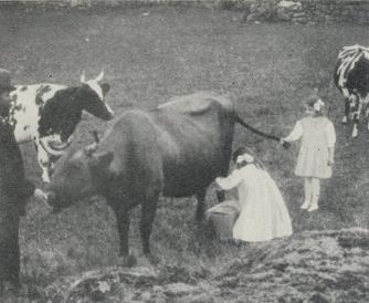 Prinsessan Astrid får hålla kossans svans,<bmedan prinsessan Märtha mjölkar.