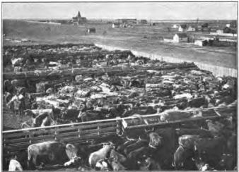 Stock Yards i Winnipeg. Se sid. 75.