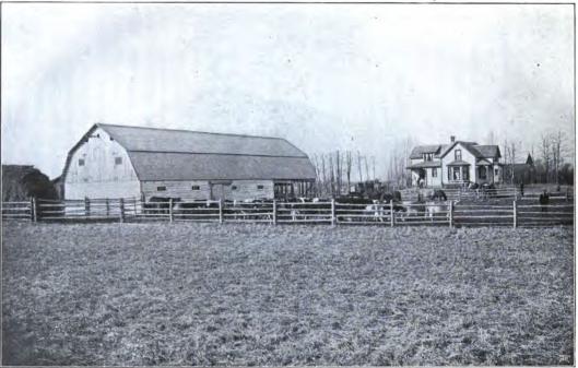 Svensk farm i Wetaskiwin, Alberta. Se sid. 84.