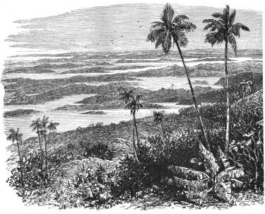 Från Bermuda.
