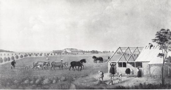 <smalVÅRARBETE. WEMMENHÖGS HD, SKÅNE. BILD 96.                                        C. DAHLBERG</smal