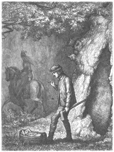 Ill. J. Sonne, Xyl. H. P. Hansen