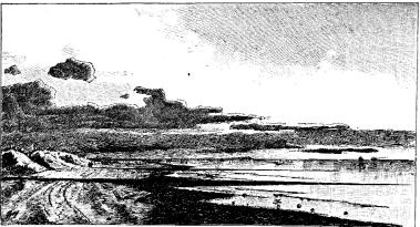Fig. 12. Høfder ved Agger. Tegning af O. Herschend.