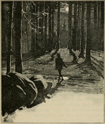 <smalIll. J.N.[=Jenny Nyström]</smal
