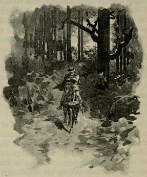 <smalIll. J. N.[=Jenny Nyström]</smal<bLängst bort vid en krökning af vägen syntes en ensam ryttare komma<bridande. (Sid. 43.)