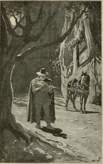 <smalIll. J. N.[=Jenny Nyström]</smal<bHan gick upp på landsvägen i månljuset, där han bättre kunde<bbetrakta pilen. (Sid. 174.)