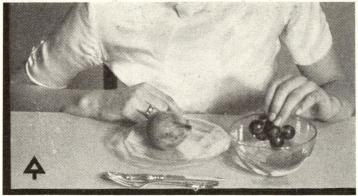 Orätt! Inte skölja druvor eller plommon i sköljkoppen,<bnär man äter i familj. Det göres endast på restaurang. Orätt! Inte skölja druvor eller plommon i sköljkoppen,<bnär man äter i familj. Det göres endast på restaurang.