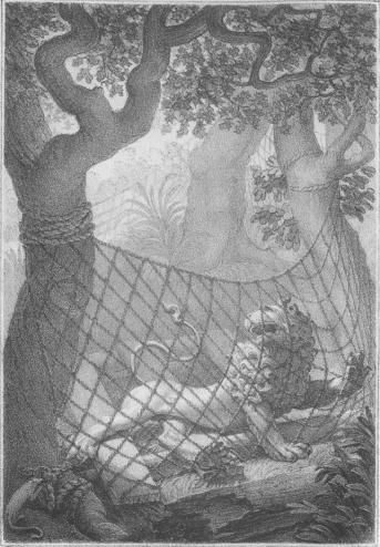 <bip. 57.</bi<bLundqvist Lith.                                Tr. af Gjöthström.