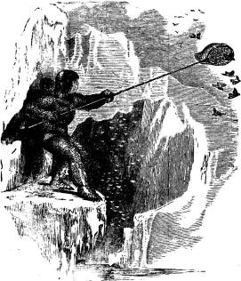 Fågelfångst hos Eskimåerna. (Fig. 8.)