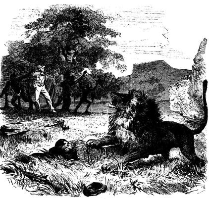 Livingstone, anfallen af ett lejon.