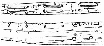 <bFig. 9. Fragment af båtstäf, Lycksele lappmark. N. M. 83, 189.<b