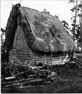 Fig. 1. Lambgift, Fårö. Fig. 1. Lambgift, Fårö.