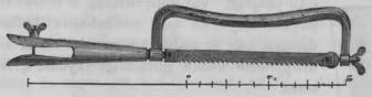 Fig. 10.<b<su<smal1</smal</su/<su<smal8</smal</su:dels naturlig storlek. Fig. 10.<b<su<smal1</smal</su/<su<smal8</smal</su:dels naturlig storlek.