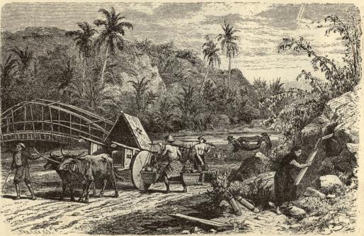 Landsväg med bro på Java.