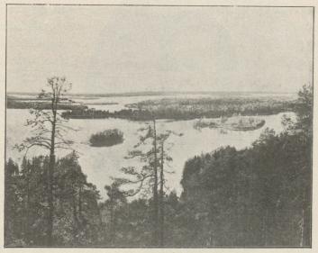 Utsikt från Laivonsaari, nordväst om Kuopio.