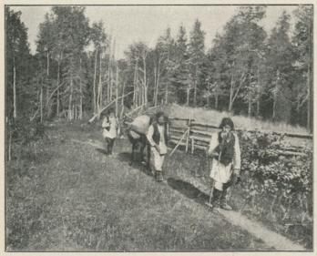 Karelska bönder.