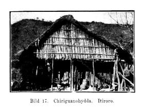 Bild 17. Chirigmanohydda. Itiroro.
