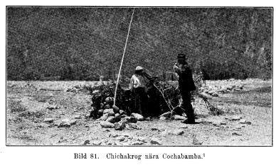Bild 81. Chichakrog nära Cochabamba.<a href= Bild 81. Chichakrog nära Cochabamba.<a href=