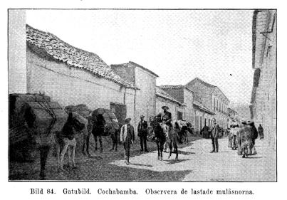Bild 84. Gatubild. Cochabamba. Observera de lastade mulåsnorna.