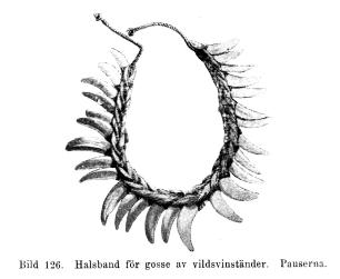 Bild 126. Halsband för gosse av vildsvinständer. Pauserna. Bild 126. Halsband för gosse av vildsvinständer. Pauserna.