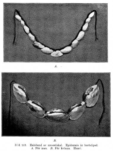 Bild 163. Halsband av musselskal. Epidermis är bortslipad.<bA. För man. B. För kvinna. Huari.