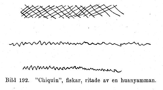 Bild 192. "Chiquin", fiskar, ritade av en huanyamman.