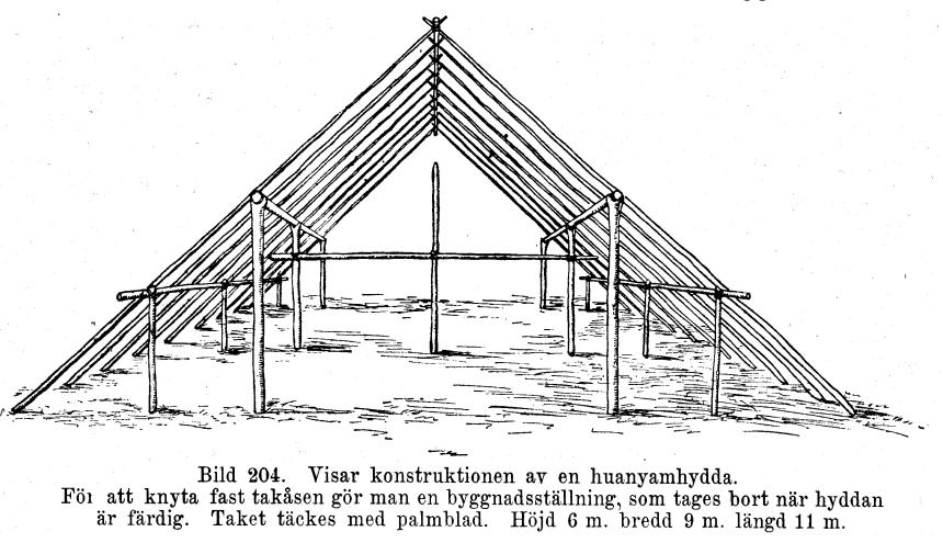 Bild 204. Visar konstruktionen av en huanyamhydda.<bFör att knyta fast takåsen gör man en byggnadsställning, som tages bort när hyddan är färdig.<bTaket täckes med palmblad. Höjd 6 m. bredd 9 m. längd 11 m. Bild 204. Visar konstruktionen av en huanyamhydda.<bFör att knyta fast takåsen gör man en byggnadsställning, som tages bort när hyddan är färdig.<bTaket täckes med palmblad. Höjd 6 m. bredd 9 m. längd 11 m.