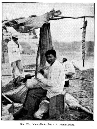 Bild 255. Mojoindianer fläta s. k. panamáhattar.