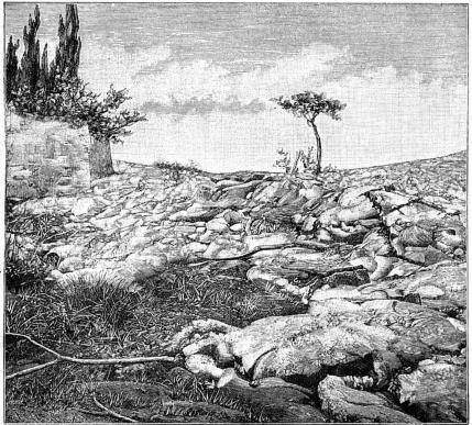 10. Ändan af en lavaström.