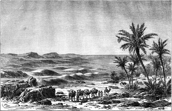 16. Bild från Sahara.