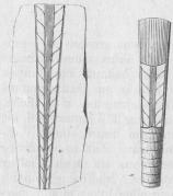 Bild 3. Orthoceratiter. Bild 3. Orthoceratiter.