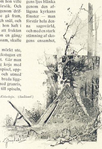 <smalIll. D. Ljungdahl</smal<bKolarkoja. (Småland.)