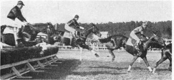 A hurdle race on May 20th 1928
