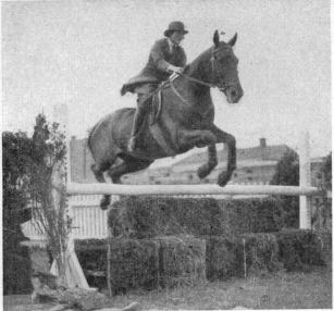 Mrs. Asa Claesson riding »Gladstone»