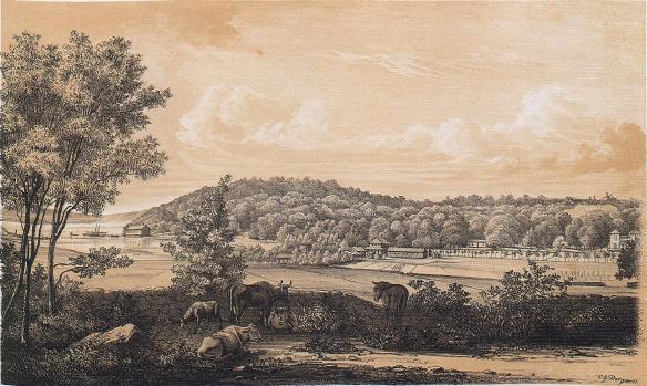 <smalIll. C. G. Berger</smal<bTryckt och förlagt af Meyer & Köster. Lithogr. Atel. i Götebg.<b<biSÄRÖ</bi<bfrån Fastlandet.