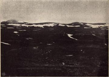 Fig. 1. Parti av landskapet ved vandskillet mellem Tollaa- og Harodalen.