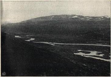 Fig. 3. Parti av dalbunden i Bjellaadalen søndenfor Krukkistuen.