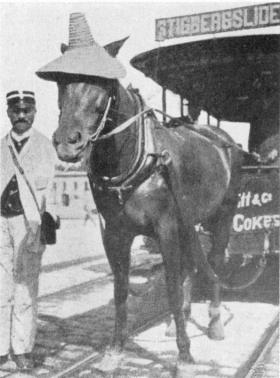 Sommaren 1901 var varm och solig Sommaren 1901 var varm och solig