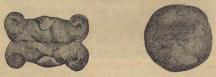 Fig. 24. Kuse och Kaka.