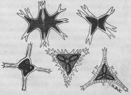  Fig. 5. 