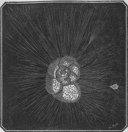 Fig. 7. Fig. 7.