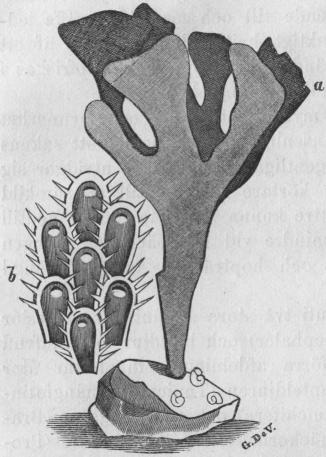 Fig. 15. Fig. 15.