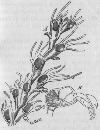 Fig. 16. Fig. 16.